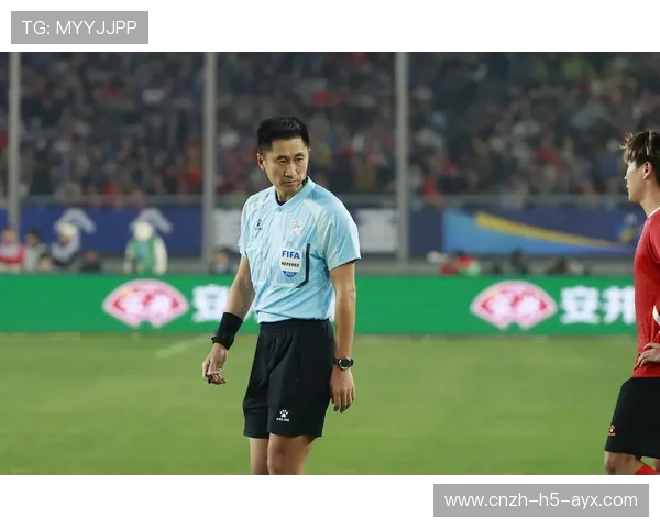 世界杯裁判团队接受专项培训以提升判罚精确度，世界杯裁判要求